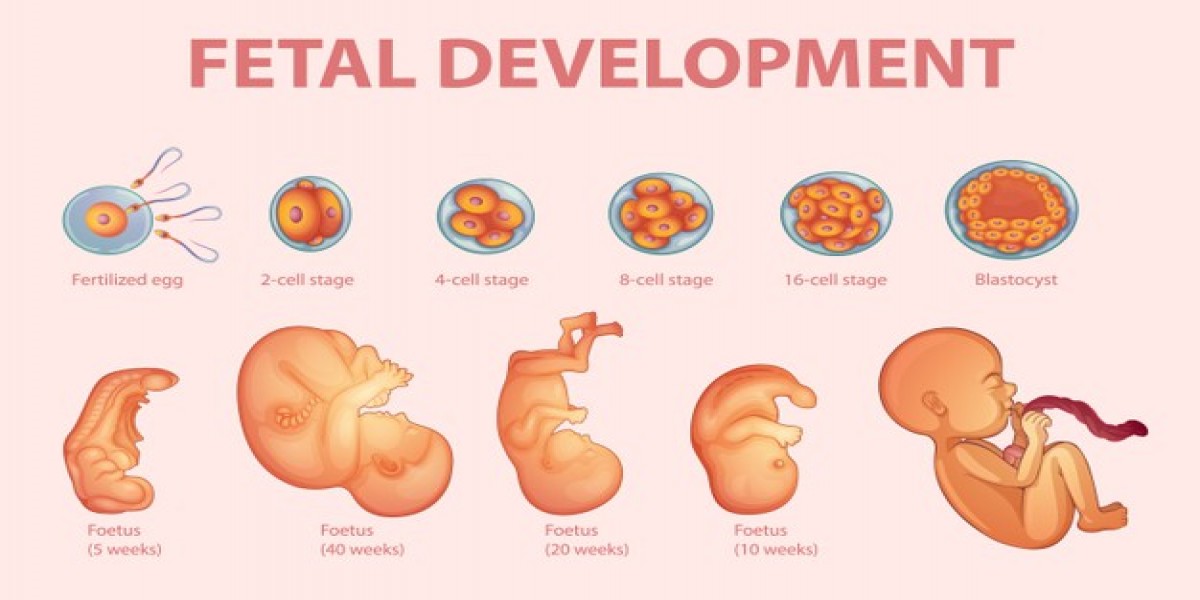 dental care